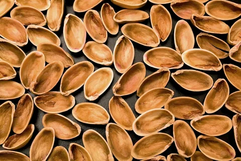 تصویر 4 از راهنمای خرید پوست پسته + قیمت عالی